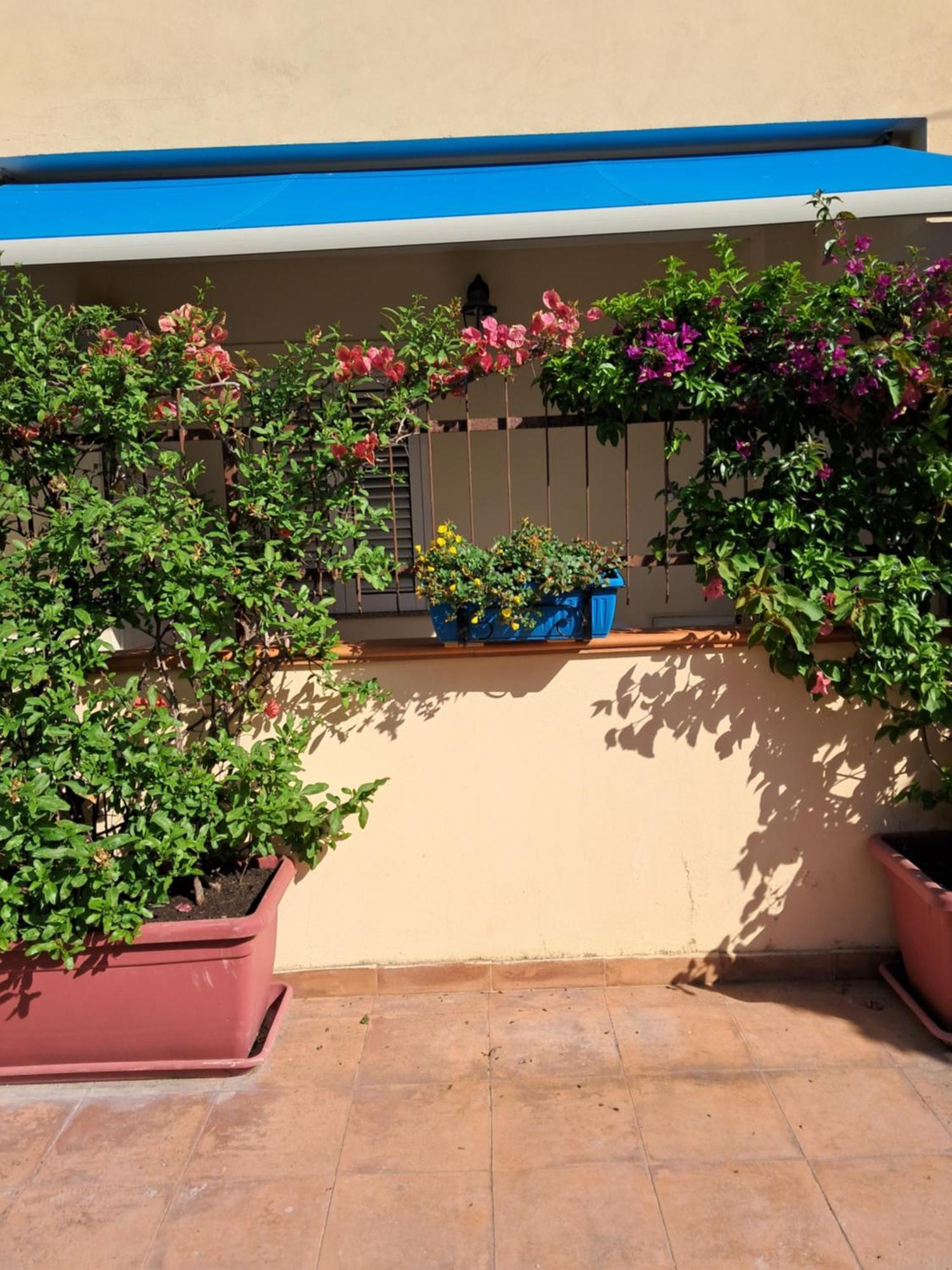 My Little House - Appartamento Con Patio E Parcheggio Privato A 5 Minuti Dalla Spiaggia E Dal Centro Tropea Eksteriør bilde